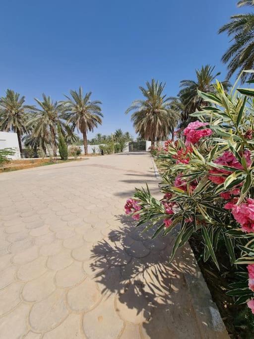 Villa Dar Jamila - Au Coeur De L'Oasis - Gabès Esterno foto